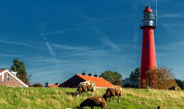 Hoek van Holland strand, duinen en Noordzeekust in Nederland