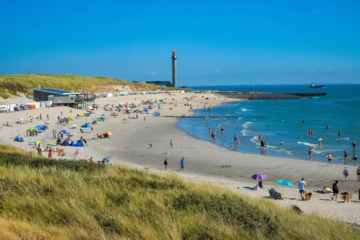 Veerbootbestemming Hoek van Holland in Nederland