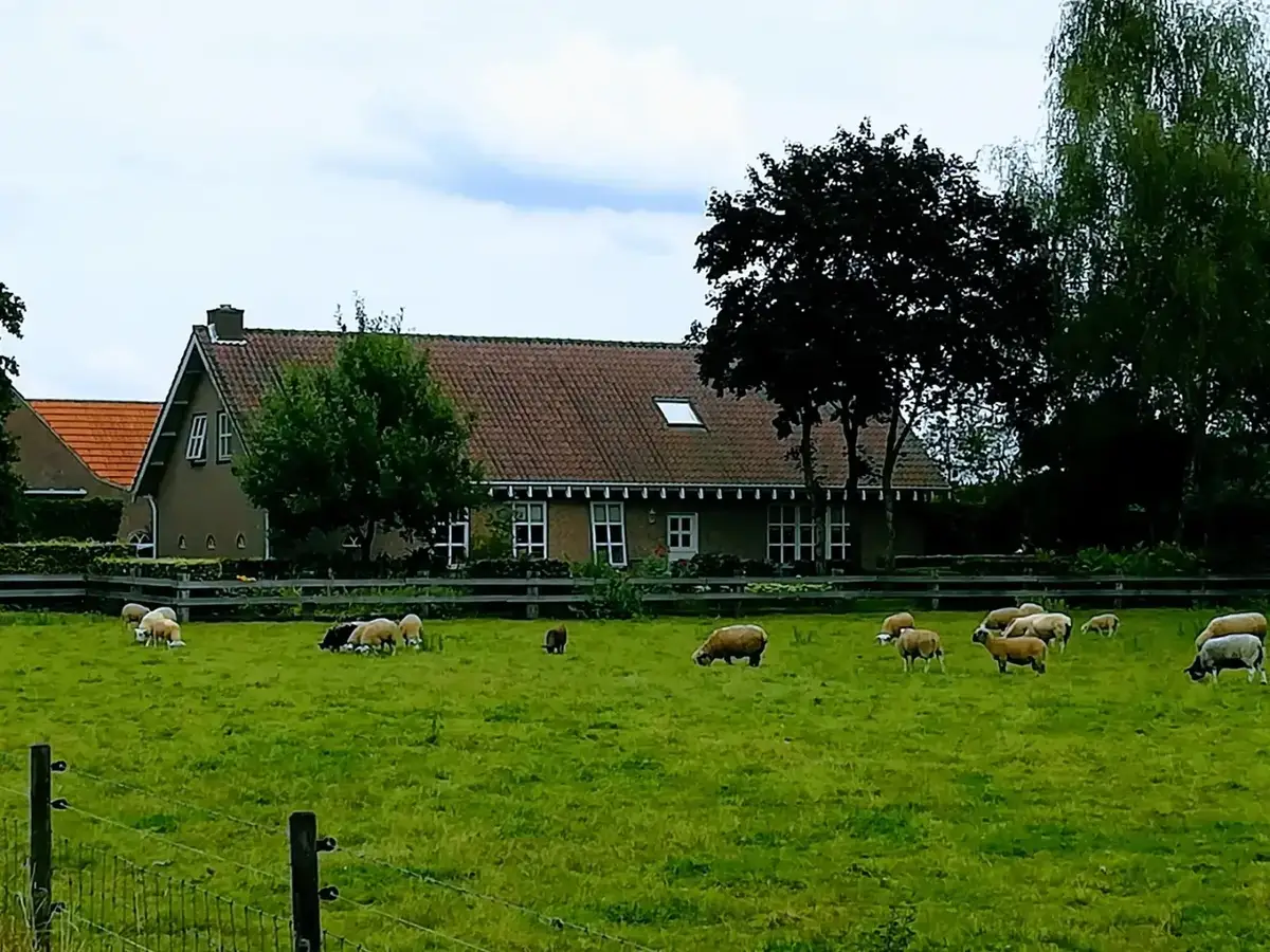 Fehmarn stranden, kust en trekpleisters nabij Puttgarden