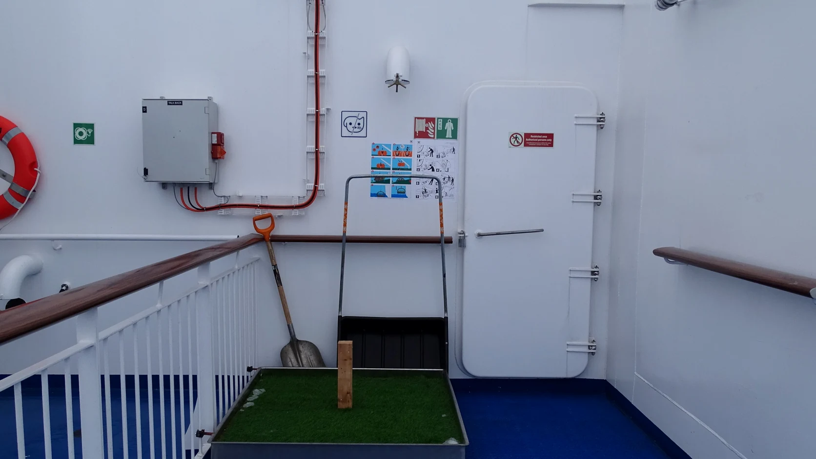 Speciale huisdierzone aan boord van Aurora Botnia